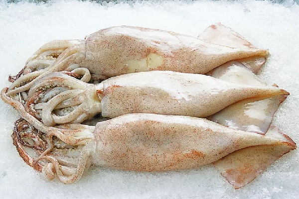 新鮮魷魚(yú)和泡發(fā)魷魚(yú)的區(qū)別 新鮮魷魚(yú)買大的好還是小的好