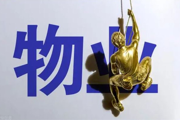 人民網(wǎng)評小區(qū)物業(yè)監(jiān)控業(yè)主 物業(yè)公司主要負責(zé)哪些工作