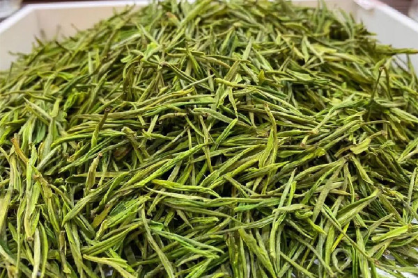 安吉白茶屬于哪類(lèi)茶 安吉白茶是白茶嗎