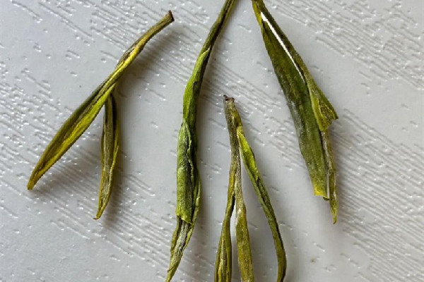 安吉白茶屬于哪類(lèi)茶 安吉白茶是白茶嗎